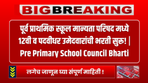 Pre Primary School Council Bharti 2024